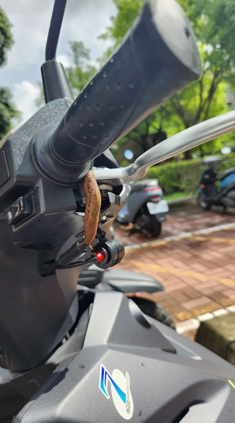 還有人「龍頭」縫隙中出現蛞蝓。翻攝自「路上觀察學院」