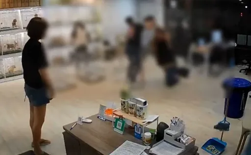 彰化寵物店員工斷臂案有內情　疑債務糾紛買兇殺人！2嫌收押禁見