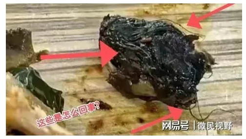 中國「指鼠為鴨」案實錘了 大批官員大舉調查:學生吃到老鼠頭