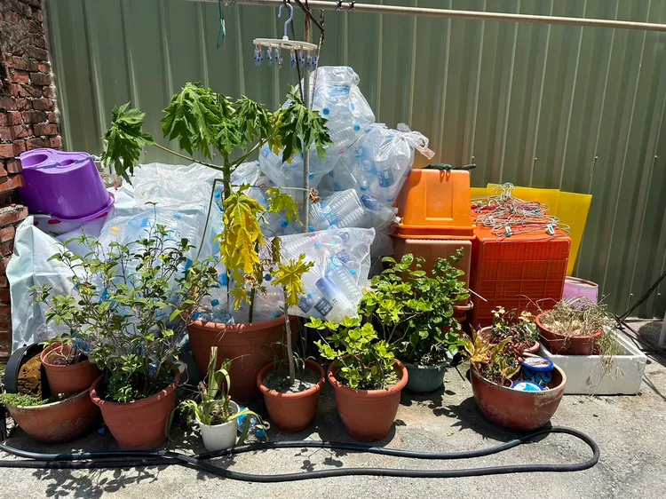 棚架、廢棄輪胎、水桶、破碎花器易積水，防疫人員請市民落實清除積水，避免孳生病媒蚊。衛生局提供