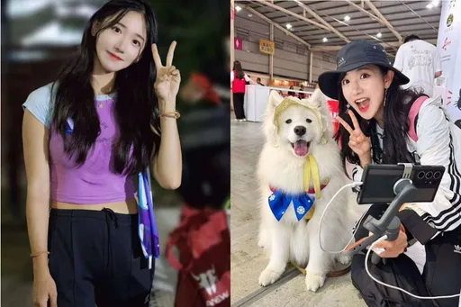 企鵝妹高雄體驗行人地獄! 貨車司機怒譙「丟臉到國外」?網掀論戰