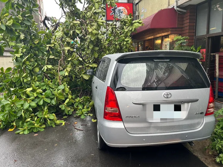 樹倒壓中1輛休旅車。民眾提供