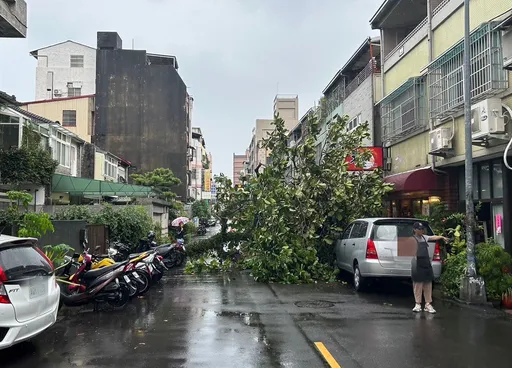 大雷雨炸裂 台中樹倒壓毀汽機車!民眾驚:做颱風嗎?