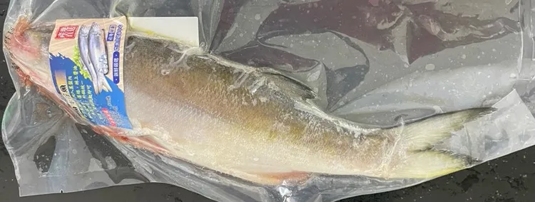 屏東鮮魚午仔魚檢出「還原型孔雀綠」。食藥署提供