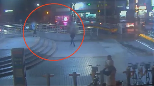 新北女真的暈船!遭詐480萬還被當車手用 遭警逮才大夢初醒