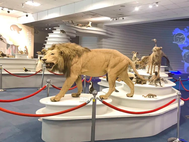 教育中心將首度開放作為夜宿的活動場地。動物園提供