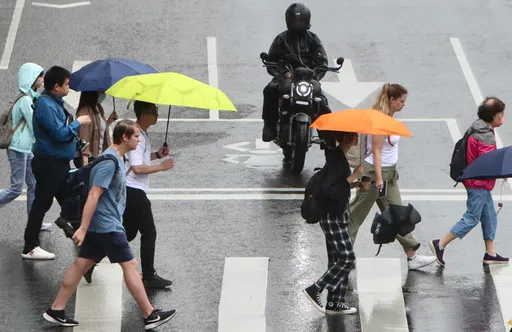 「人在斑馬線車全停」挨轟白癡政策　王國材：執法標準將研議「這2個字」