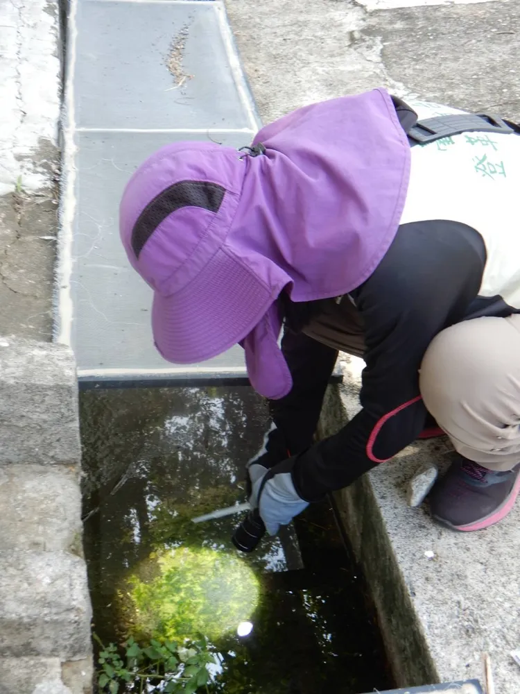 市府呼籲民眾主動孳清，共同防疫。市府提供