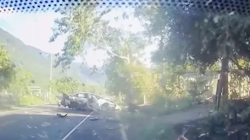 驚悚片｜特斯拉高速急煞失控「拔樹」飛撞警車　氣囊全爆！2人幸運無傷