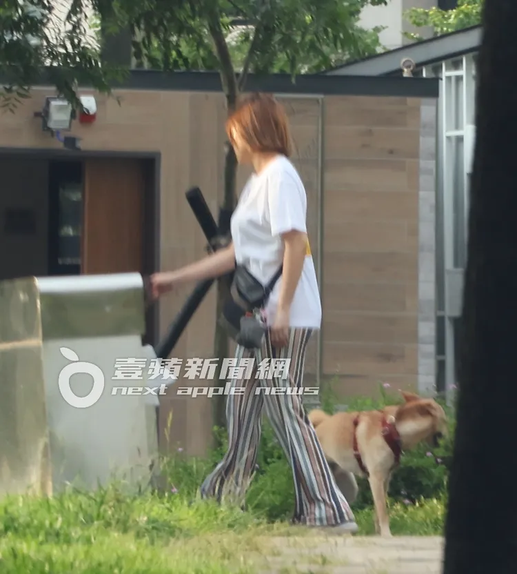 夏宇童將愛犬NiNi的排泄物，撿起來後丟進垃圾桶。特勤中心攝