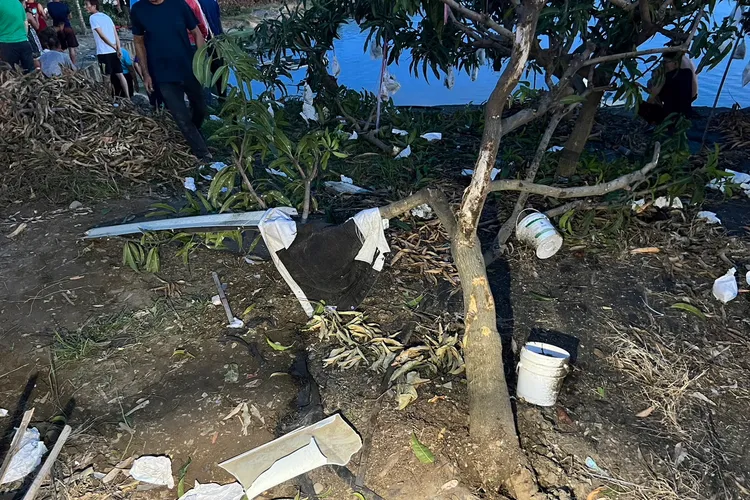 果園一片狼藉。讀者提供