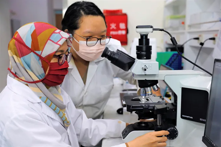 朝陽科大應用化學系利用廢棄的葡萄藤製成生物炭，研發成為環保型的緩釋肥料，達成綠色經濟循環理念。