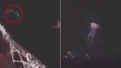 跳郵輪海泳慶祝畢業　18歲少年疑被「鯊魚追獵」消失無蹤
