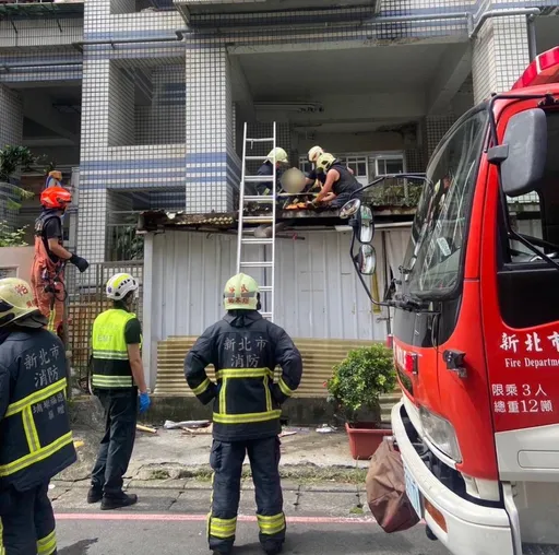 新莊婦人11F陽台墜下 重摔鐵皮屋頂送醫不治