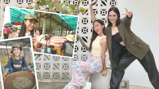 專訪|美女旅遊主持人狂吃恐怖食物 炸蜘蛛滋味就像蝦味先