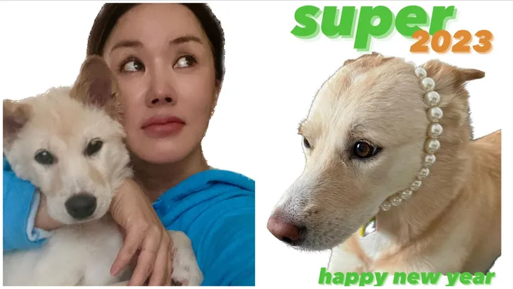 嚴正化相當愛狗，還曾幫愛犬製作長輩貼圖。翻攝zumaizing IG