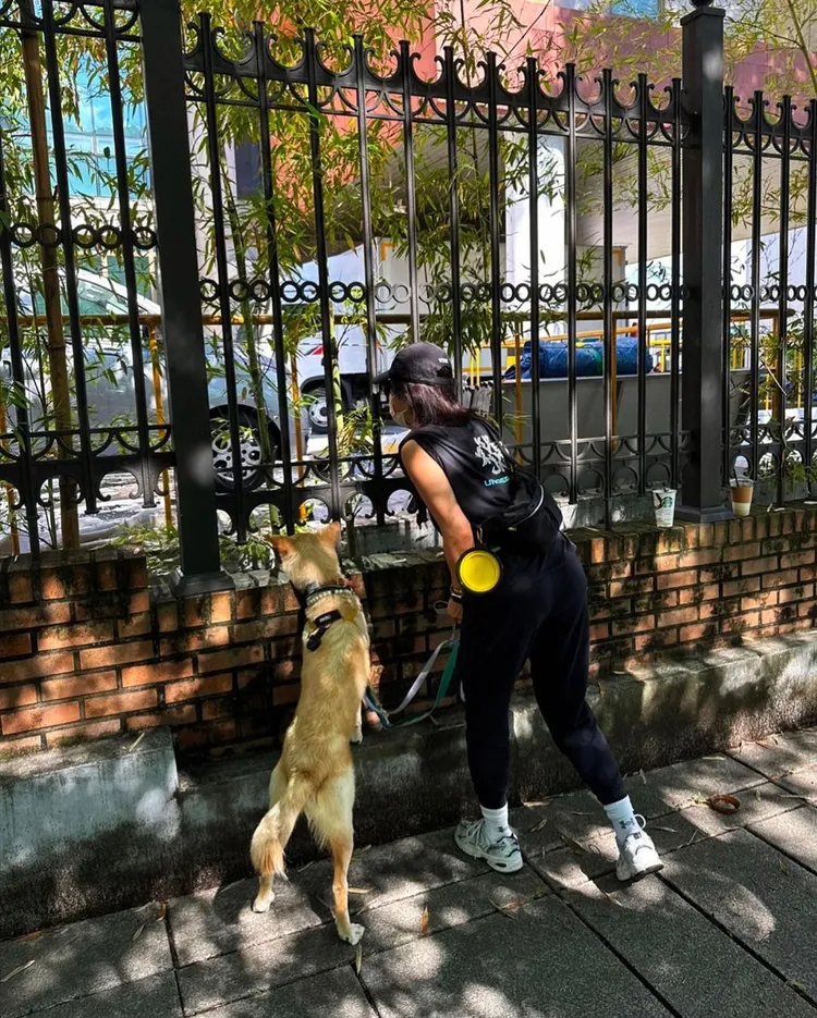 嚴正化時常在IG分享與愛犬Super的互動。翻攝zumaizing IG