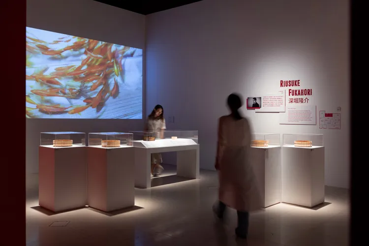 藝術家深堀隆介展區。 館方提供