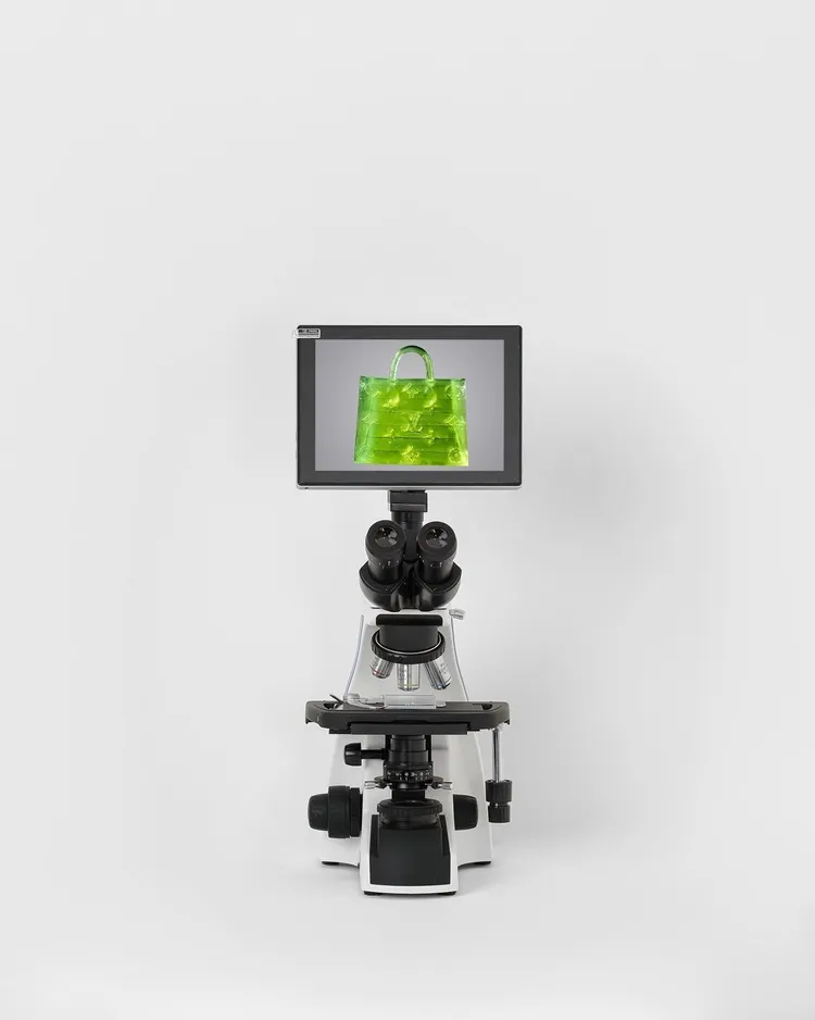 顯微鏡下的LV「微米包」。翻攝IG/mschf