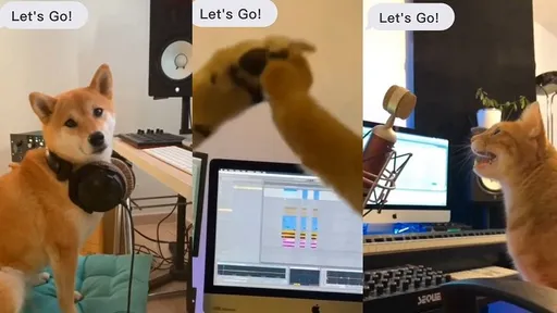 毛小孩開趴！貓狗一秒變電音DJ　肉掌搖起來太萌了