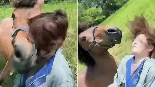 女議員「被馬頭槌」瞬間倒地 影片驚人!她揭露遇襲原因