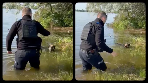 烏克蘭水壩遭炸毀　大水淹沒聶伯河沿岸8地區