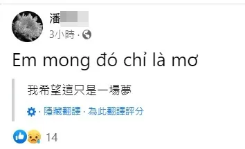 隔了一夜，妹妹依舊傷心欲絕，並寫道：「我希望這只是一個夢！」翻攝潘女妹妹臉書