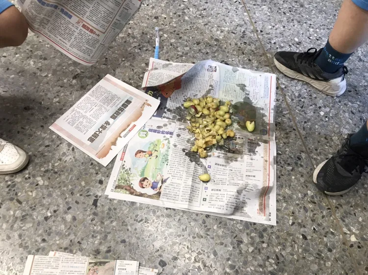 瓶口、瓶身爆裂，掉出發酵過的葡萄。讀者提供