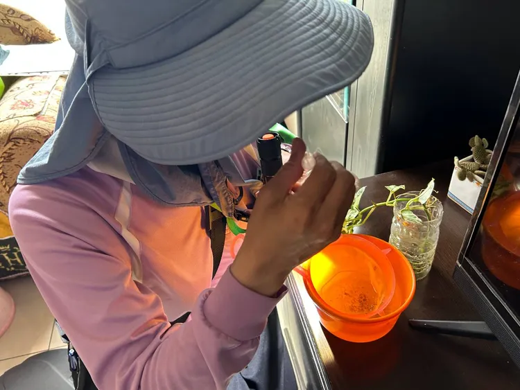 南市府動員孳清，趕盡殺孓。衛生局提供