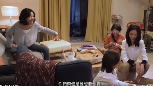 民進黨再爆前黨工性騷案　竟是《人選之人》原型！他爆：領養貓的離職個案