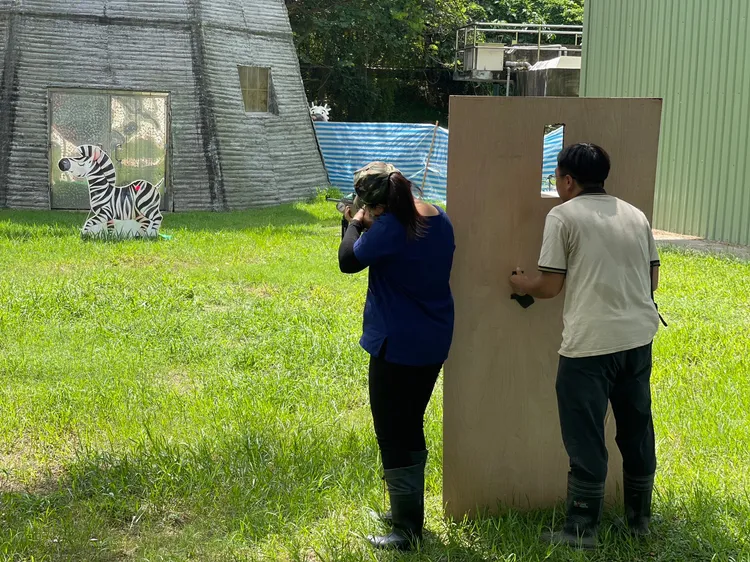 獸醫師在保育員盾牌保護下，發射麻醉槍順利制伏斑馬。頑皮世界提供 
