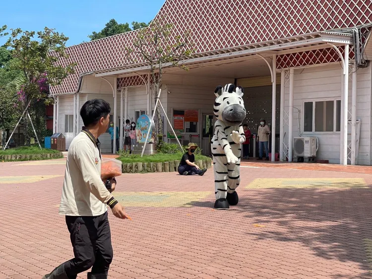 斑馬跑到大門，無害模樣相當可愛。頑皮世界提供