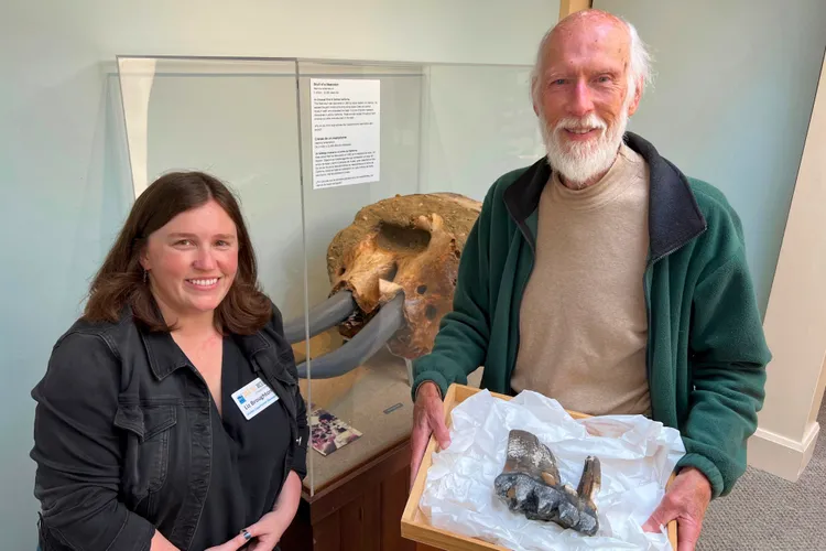 史密斯（右）周二將化石捐給聖塔克魯茲自然歷史博物館，左為館方人員布洛頓。美聯社