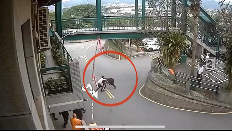 林嫌持西瓜刀追砍許男，同事見狀衝上去要阻擋跟本來不及。翻攝畫面