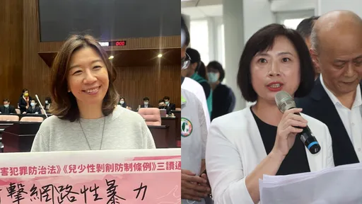 遭國民黨點名別護航綠「造狼者」！　女綠委反問：還提名陳雪生、傅崐萁？