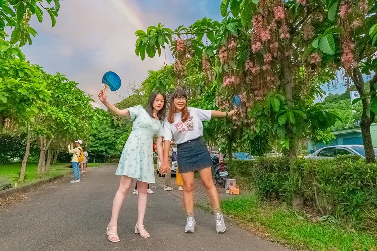 賞花、拍照的同時請留意自身安全，勿隨意摘採上樹上花朵。高灘處提供