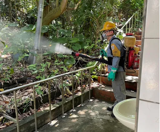 本土登革熱已21例 環保局提醒端午連假出遊先做好這些事!