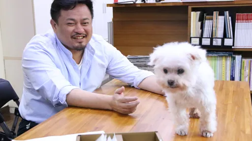 柯文哲批綠營「放狗咬人」惹議！楊寶楨護航「狗很可愛」　他大酸：凹得好心虛