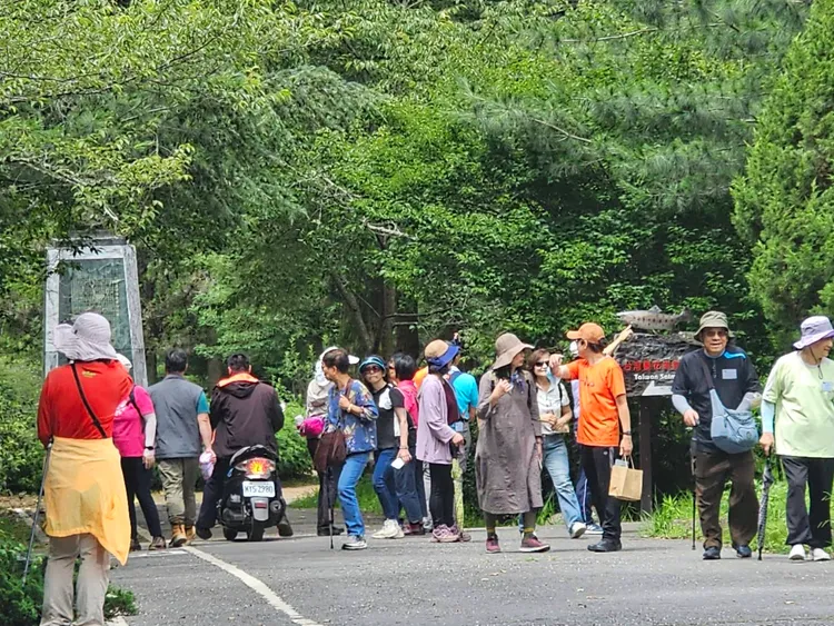 端午連假首日，武陵農場湧進大批遊客。武陵農場提供