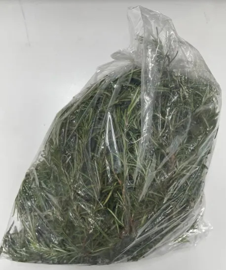 遭檢出28種農藥違規使用的迷迭香。食藥署提供