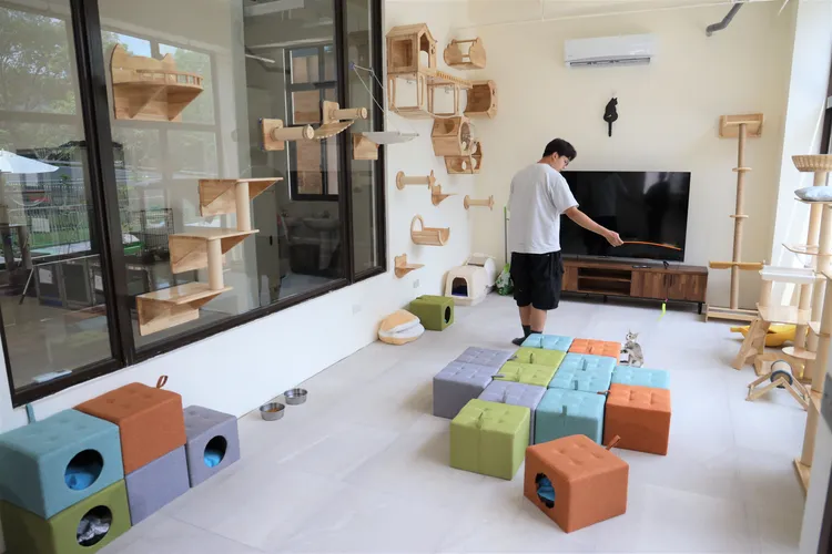 竹縣動物保護教育園區將在7月1日落成啟用。新竹縣府提供