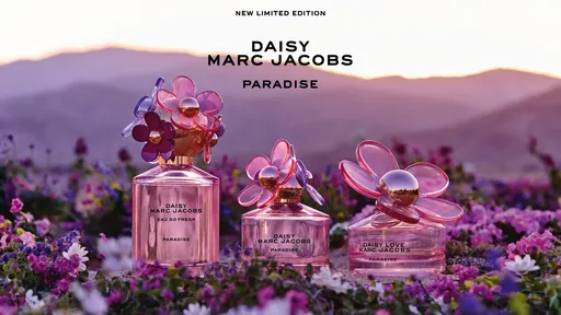 MJ雛菊香盛開浪漫粉紫花 沙漠尋靈感噴出自由與奔放