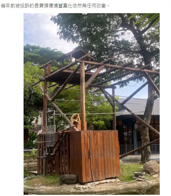 原PO說幾年前被投訴的長臂猿環境豐富化依然無任何改變。投訴人授權提供