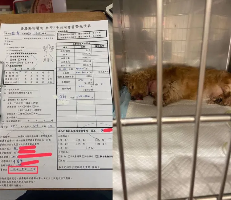 宋晉賢公開狗狗在動物醫院，以及動手術的單據。翻攝宋晉賢臉書
