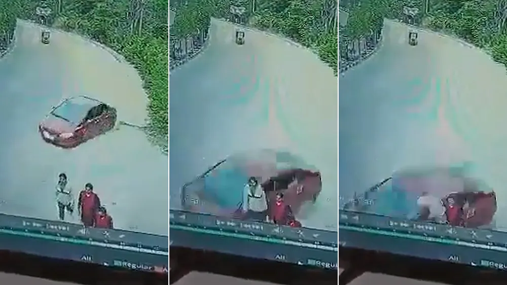 翻攝自推特