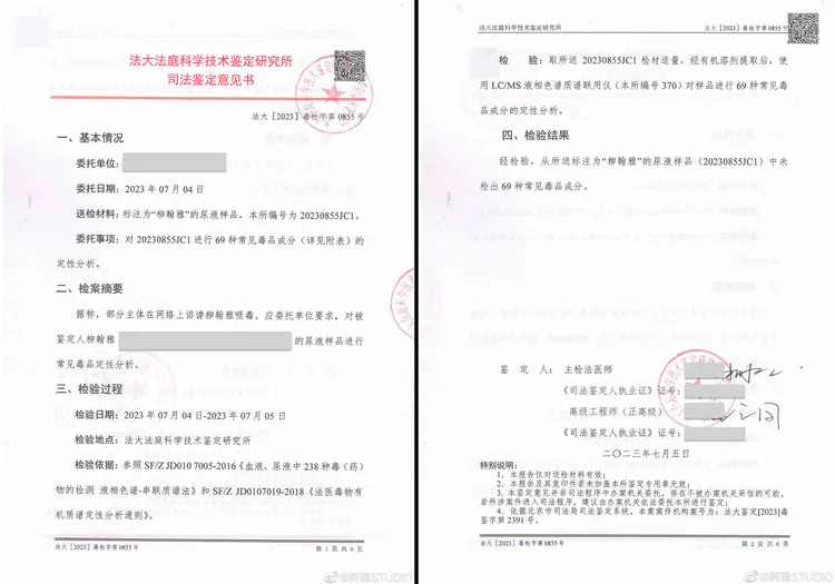 阿雅尿液檢驗報告。翻攝阿雅工作室微博