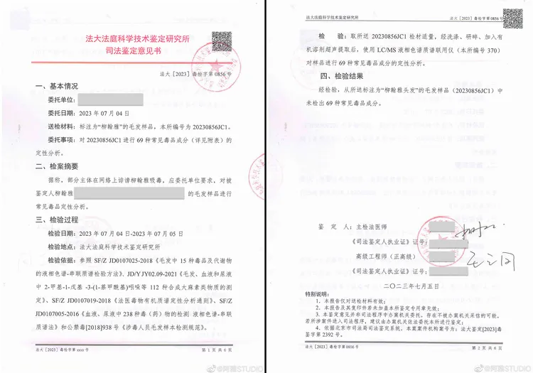 阿雅毛髮檢驗報告。翻攝阿雅工作室微博