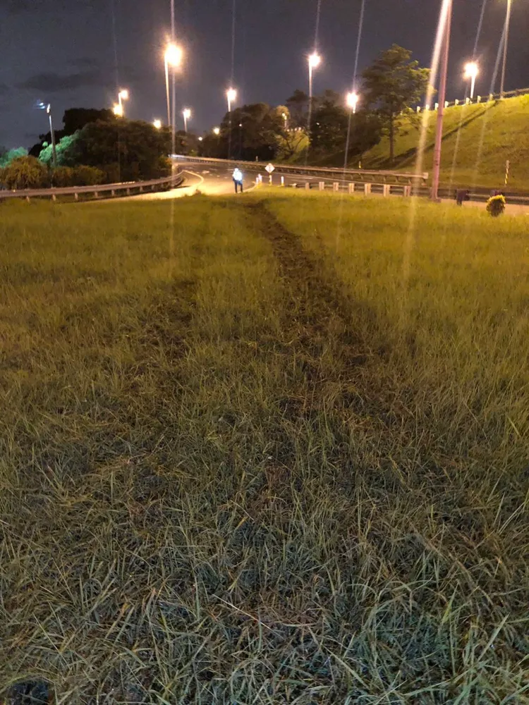 肇事車衝進分隔島草地，有二道明顯輪痕。讀者提供