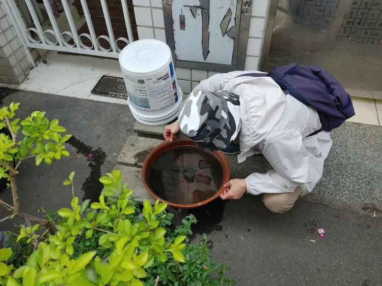 市府團隊加強清除病媒蚊孳生源。資料照片