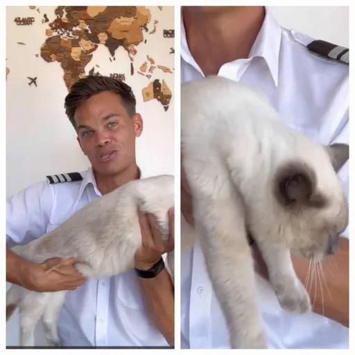 怕暈機坐哪裡比較不晃？機師傳授搭機選位訣竅